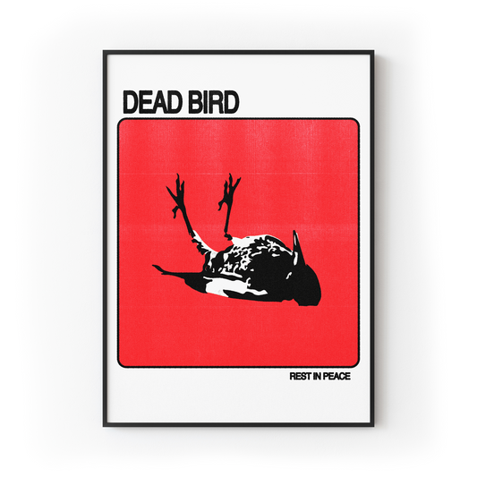 Dead Bird Print