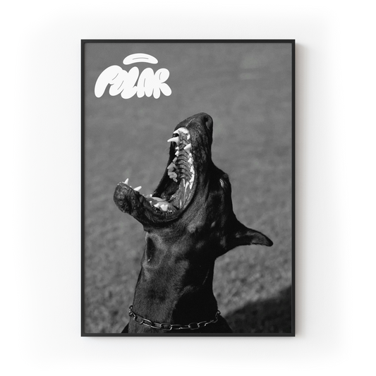 Polar Dog Print
